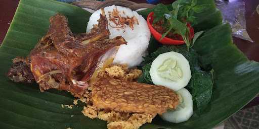 Bebek Dan Ayam Goreng Mbak Nina 9