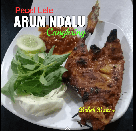 Pecel Lele Arum Ndalu 2