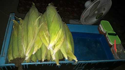 Jagung Bakar Om Misbah 3