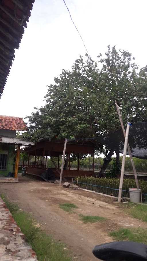 Rumah Mardha Shaganda 9