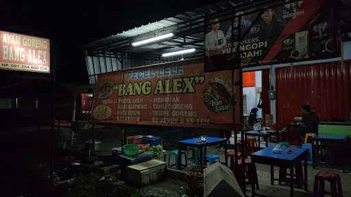 Pecel Lele Bang Alex 6