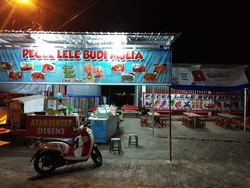 Pecel Lele Budi Mulia 10