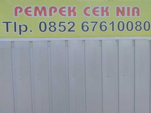 Pempek Cek Nia 2