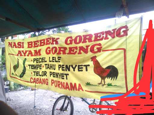 Warung Nasi Bebek Goreng 2