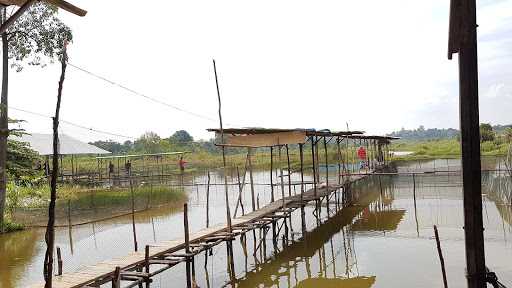 Kolam Pemancingan Baburai 2 4