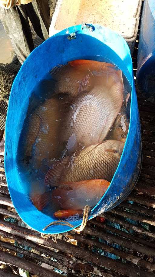 Kolam Pemancingan Baburai 2 1