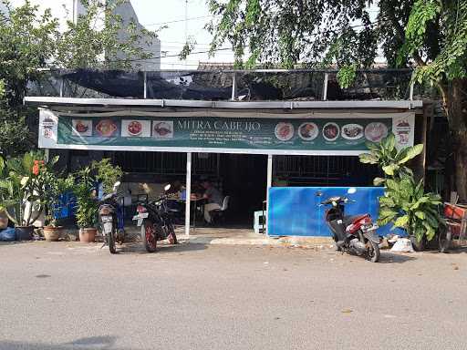 Mitra Cabe Ijo Botania 2 1