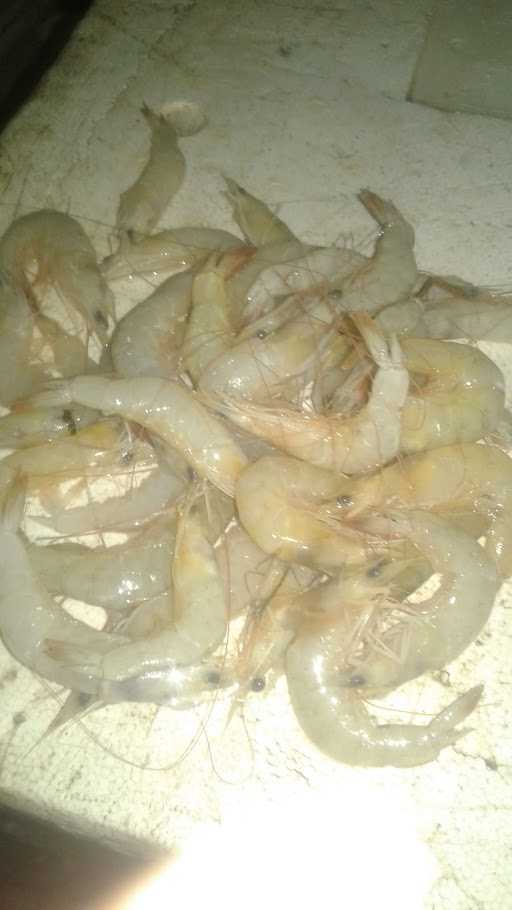 Jual Beli Ikan Segar Manda :) 1