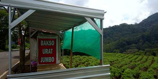 Bakso Urat Jumbo 9