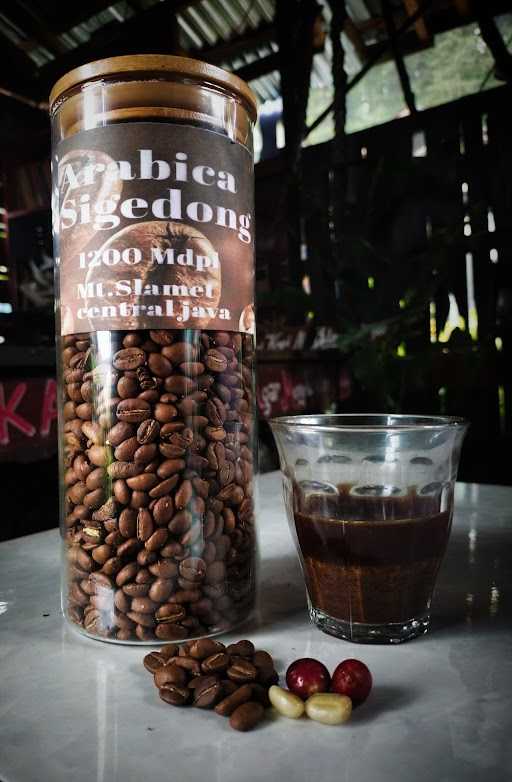 Coffee Arabica Sigedong 4