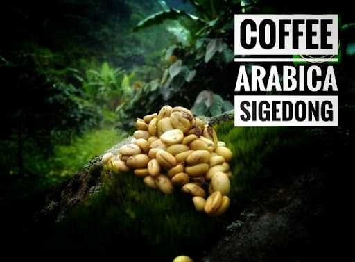 Coffee Arabica Sigedong 3