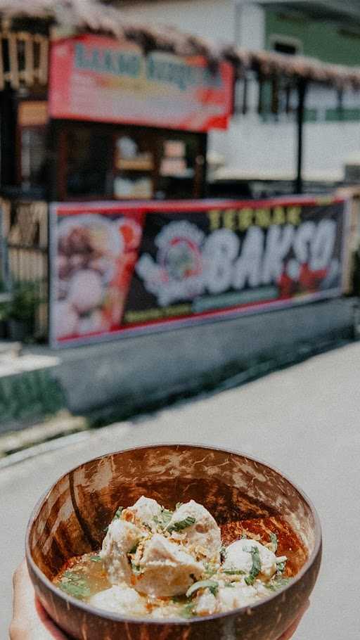 Ternak Bakso 2