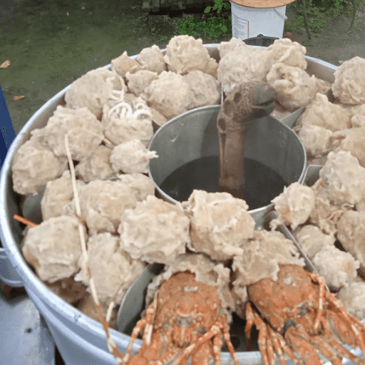 Pentol Sangar Sari Laut 1