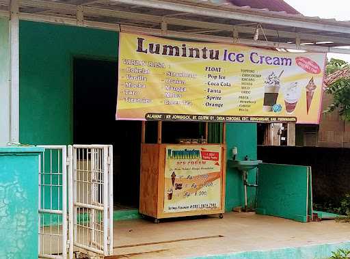 Lumintu Ice Cream 7