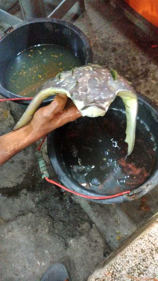 Ibp. Ikan Bakar Pantura Arezapunya 6