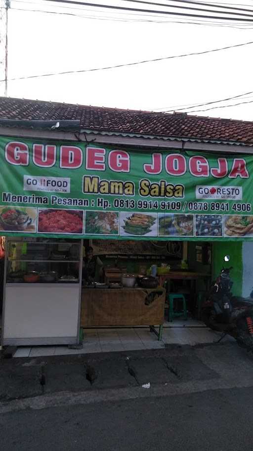 Gudeg Jogja Mama Salsa 5