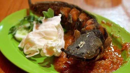 Roti Bakar Dan Pecel Lele Ichan 9