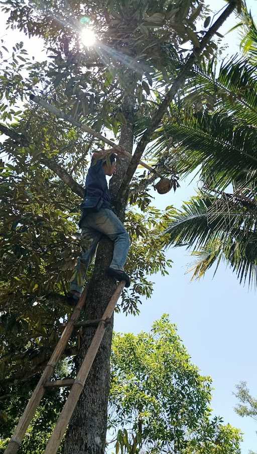 Waroeng Rebyoek Cangkringan 7