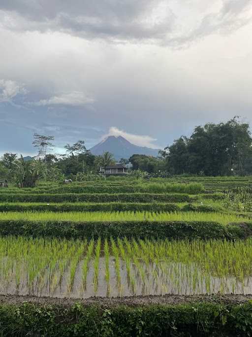 Pawon Merapi Resto 1