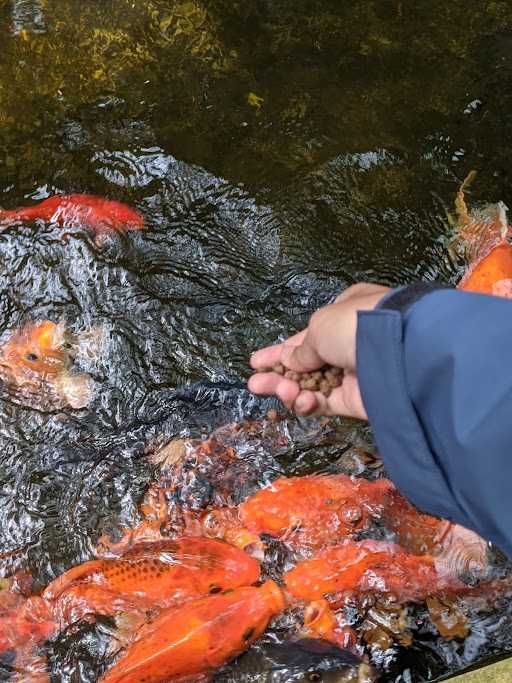 Taman Konservasi Sato Loka 7