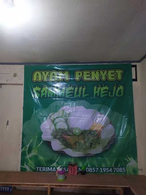 Ayam Penyet Sammeul Hejo 9