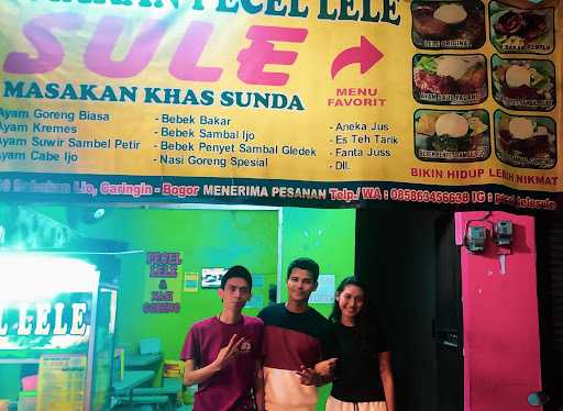 Pecel Lele Sule 8