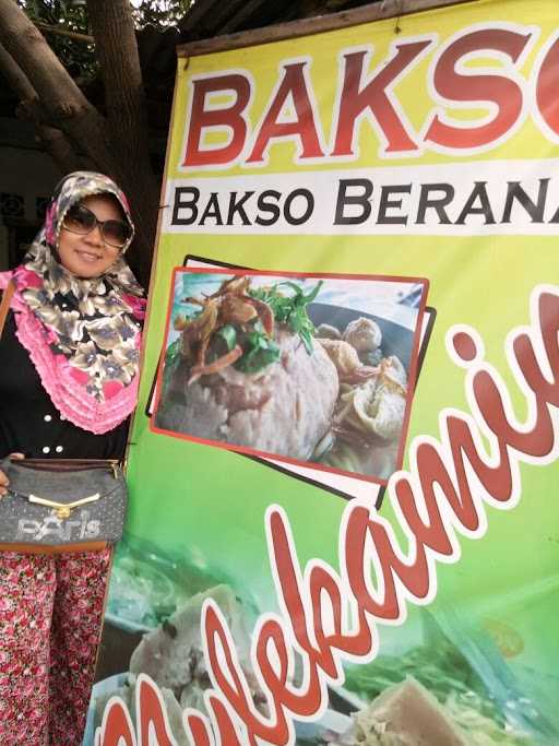 Bakso Beranak Nylekamin 8