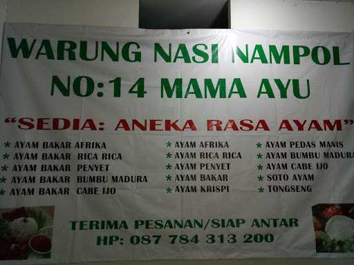 Warung Nasi Nampol Mama Ayu 2