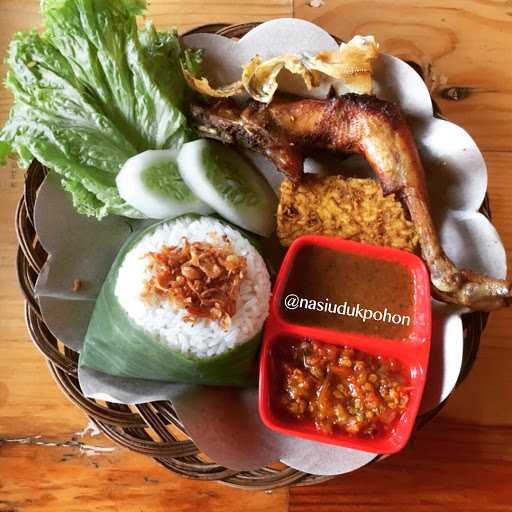 Nasi Uduk Pohon 6