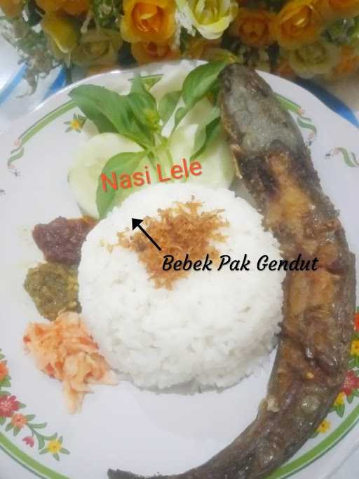 Bebek Pak Gendut 4