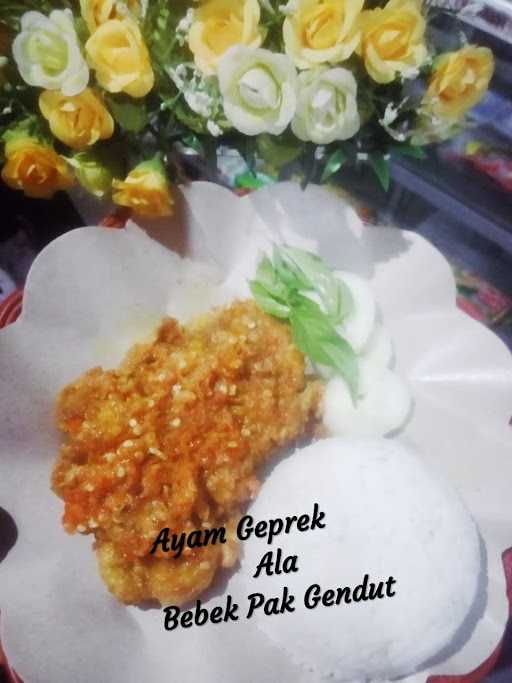 Bebek Pak Gendut 6