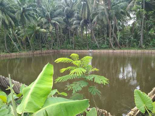 Kolam Pancing & Caffe Tuanmuda 7