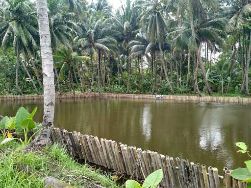 Kolam Pancing & Caffe Tuanmuda 5