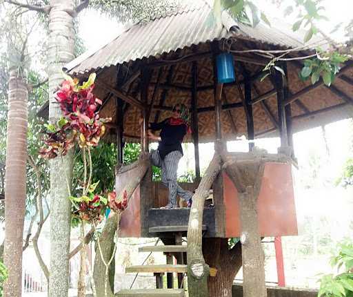 Rm. Saung Nene 9