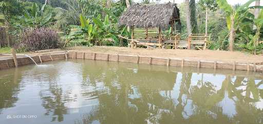 Ikan Bakar Saung Nikmat Bima 3