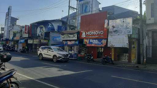 Momoyo Cibadak 6