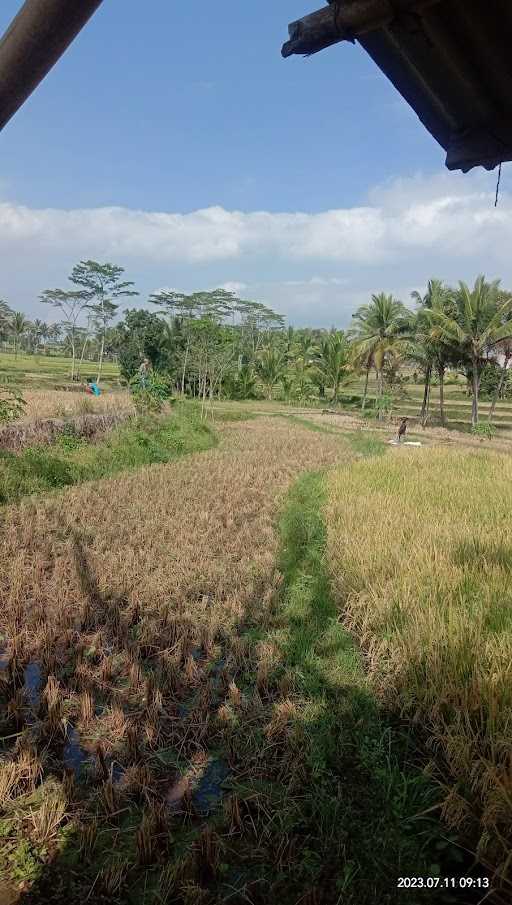 Warung Teh Yanti Bojong 1