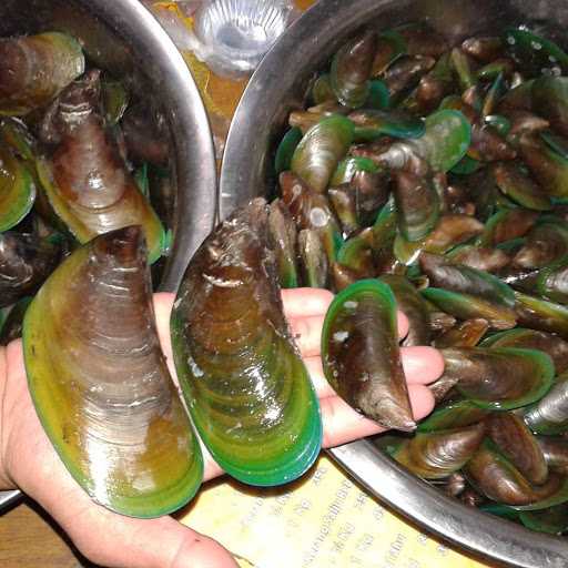 Bunderan Kerang Kiloan Cabang 2 4