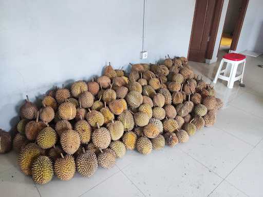 Jawara Durian Cilegon 4