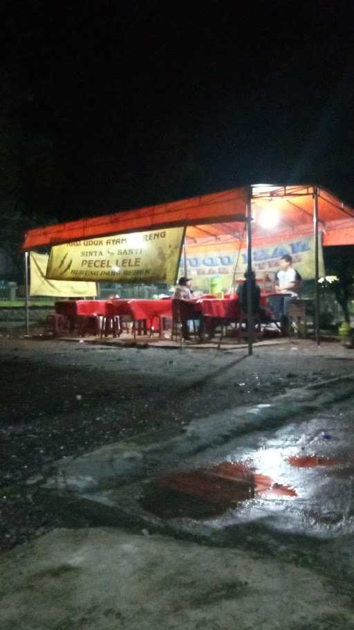 Pecel Lele Sinta Santi 49 3