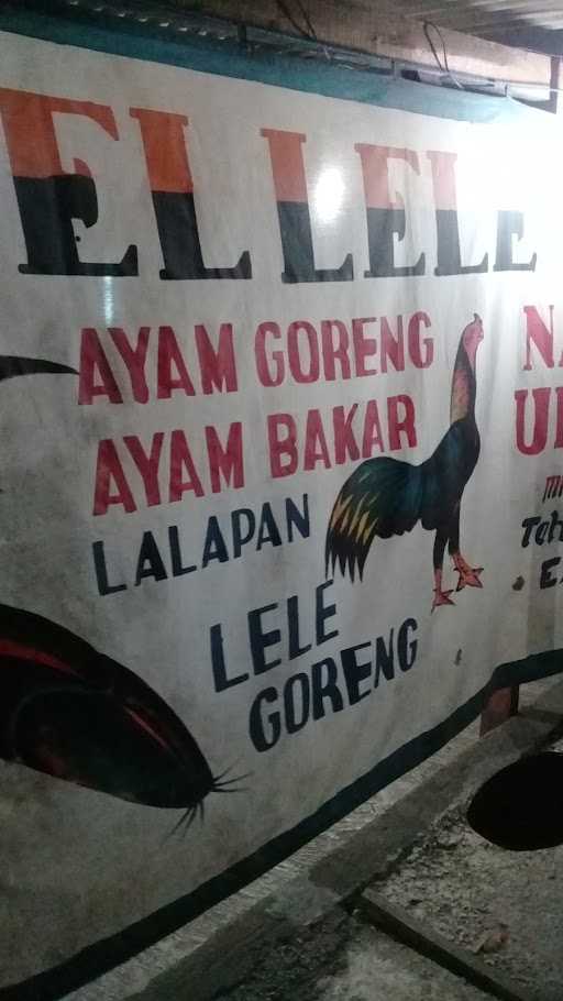 Neiska Pecel Lele Pengkolan 3