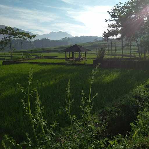 Saung Abah 1