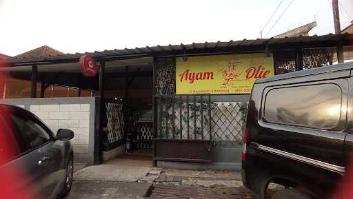 Ayam Olie 1