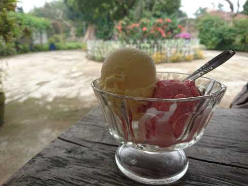 Taman Ice Cream 10