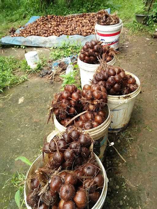 Rumah Makan Ibu Baba 5