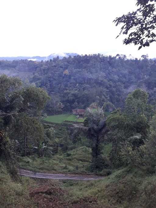 Mayana Gunung 9