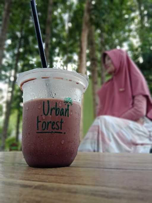 Urban Forest 6