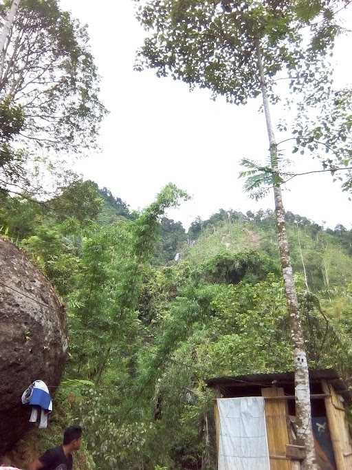 Rumah Makan Ngalimed 6