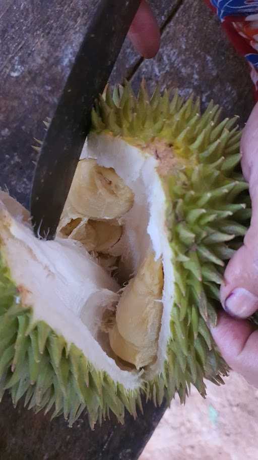 Yati Durian 2