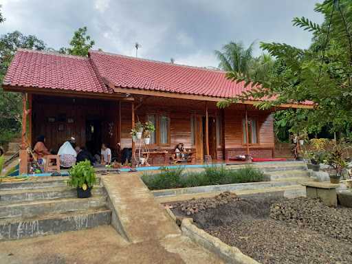 Saung Hd 1